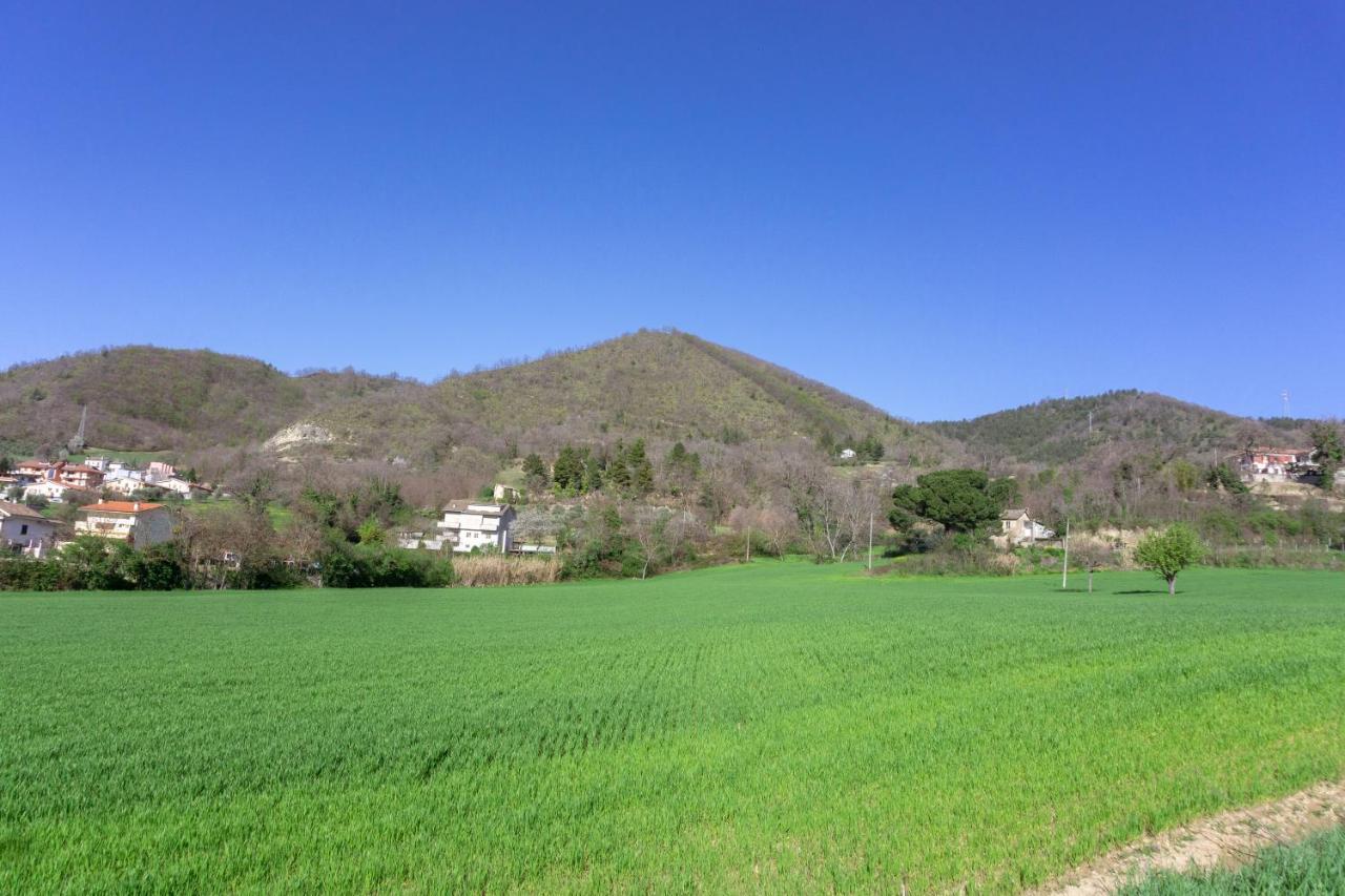 Le Colline Di Giulia - Mini Casa Ai Piedi Della Collina Appartement Venarotta Buitenkant foto