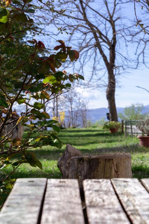 Le Colline Di Giulia - Mini Casa Ai Piedi Della Collina Appartement Venarotta Buitenkant foto